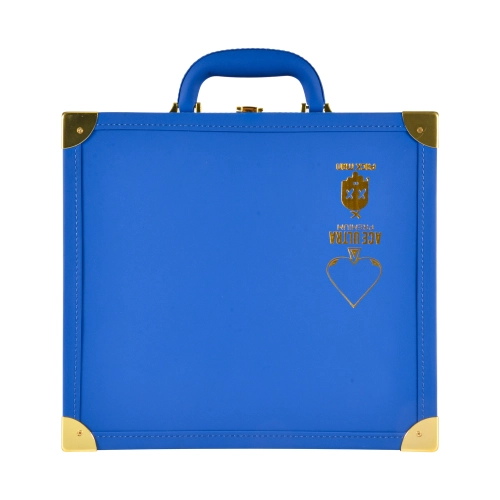 How Brands Evaluate ACE Ultra Packman for Scalable Bulk Programs