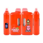USA warehouse ACE X Packman Disposable Vape 2g Empty Device Pods For Sale