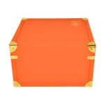 USA Warehouse ACE Ultra Premium 2g Spring Edition Disposable