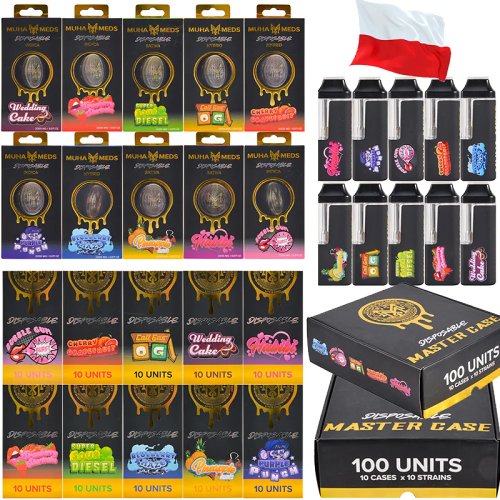 Polonia Stock Muha Meds 2025 2gram Vape desechable con pantalla LED