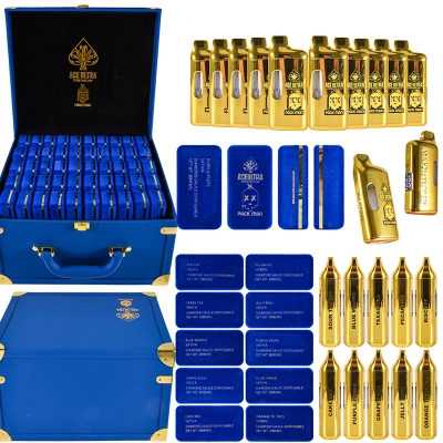 ACE X Packman V2 Disposable Vape Pen Wholesale  Empty Device Pods 01