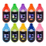 Italy Warehouse Packman Summer Dual Chamer Disposable 2ML Dispo Vape Wholesale