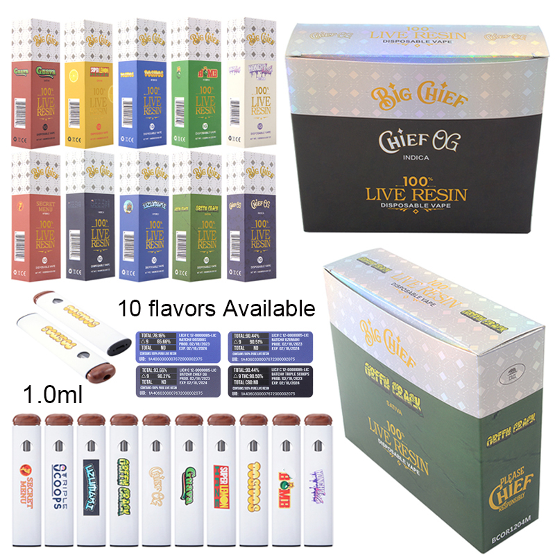 Big Chief 1g Disposable