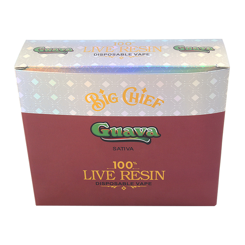 Big Chief 1g Disposable