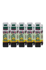 2g Fryd Lemon Tree Tea Disposable USA