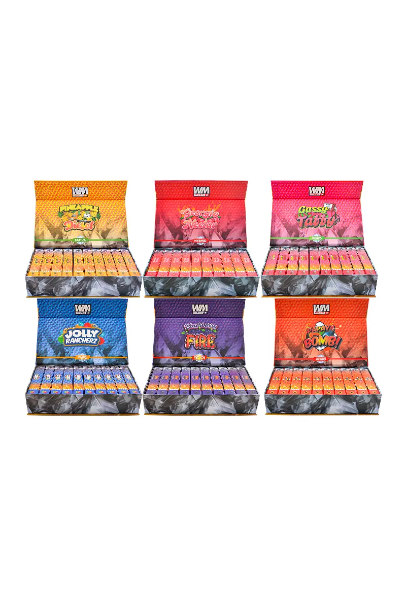 Whole Melt V4 2g Disposable