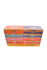 Whole Melt V4 2g Disposable