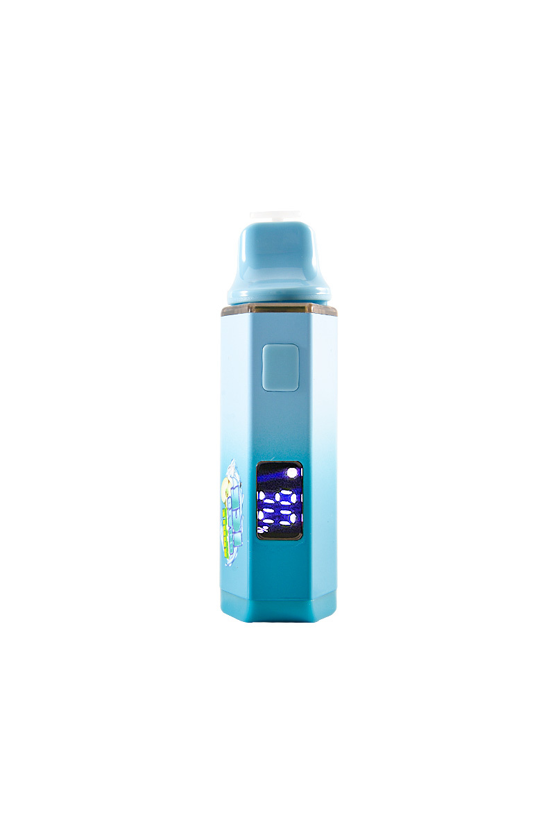 Packwoods with Digital Screen 2g Disposable