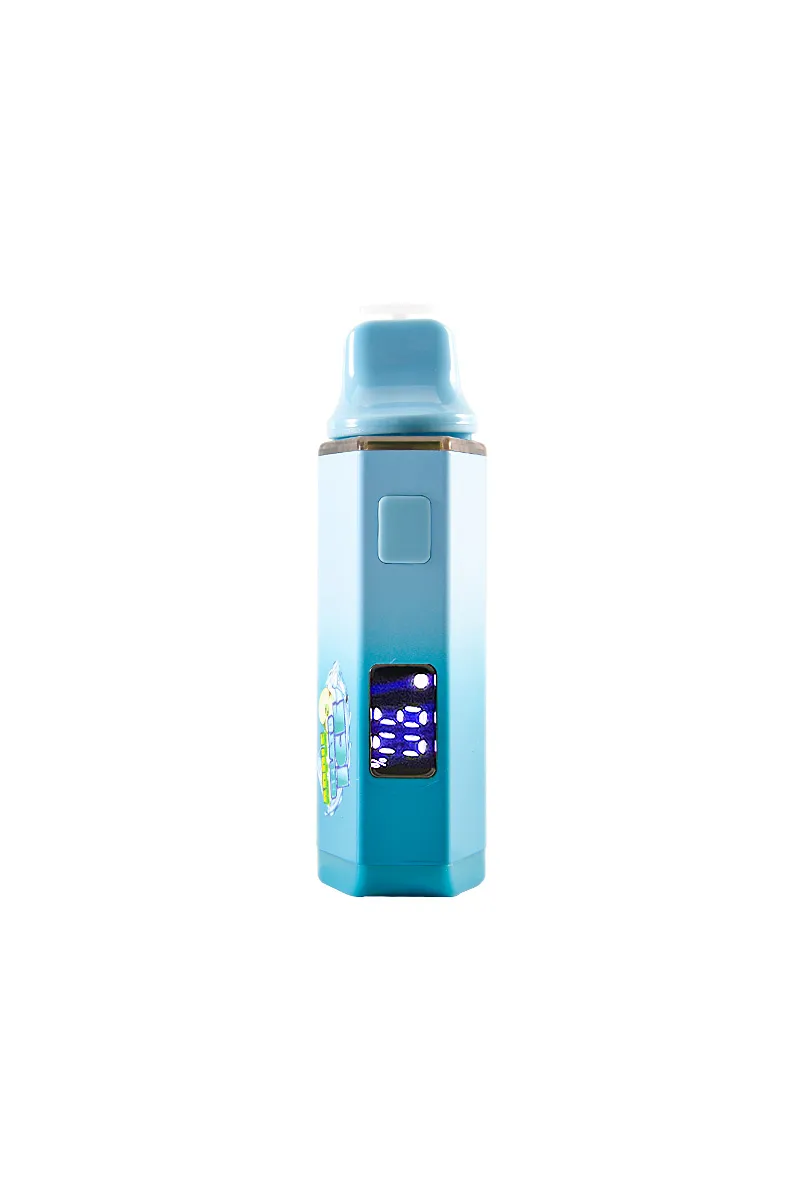 Packwoods with Digital Screen 2g Disposable