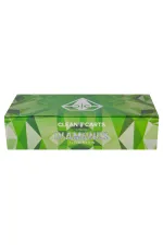 USA Stock 500pcs/lot Clean Carts 2g Disposables