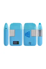 USA New Favorite 2g Screen Disposable Wholesale 200pcs/lot