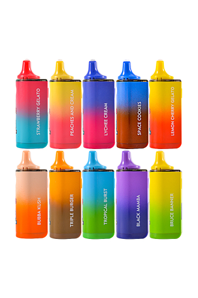 Europe Stock Melt x Packman 1g Empty Disposable Vape 02