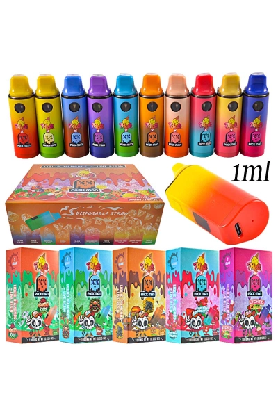 Europe Stock Melt x Packman 1g Empty Disposable Vape 01