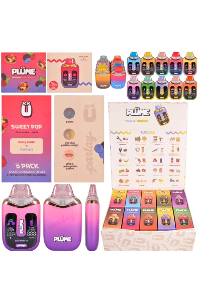 Wholesale Plume 1g+1g Empty Disposable Vape Pen 01