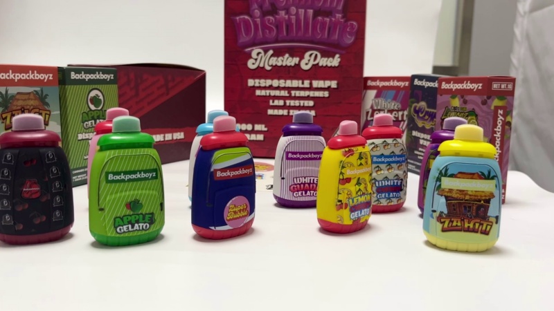Backpack Boyz Disposable Vape 1g or 2g USA Stock 100pcs Wholesale