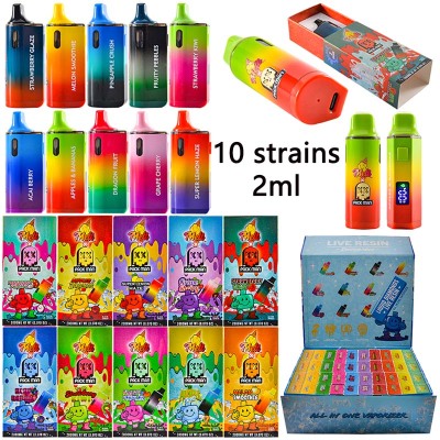 Melt Packman Disposable Vape 2g with Screen Display  01