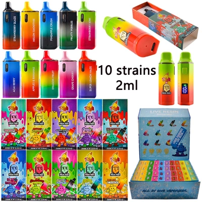 Melt Packman Disposable Vape 2g with Screen Display  01