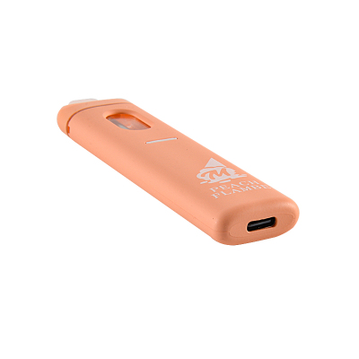 Got Melt Disposable Vape 2g Live Resin  02