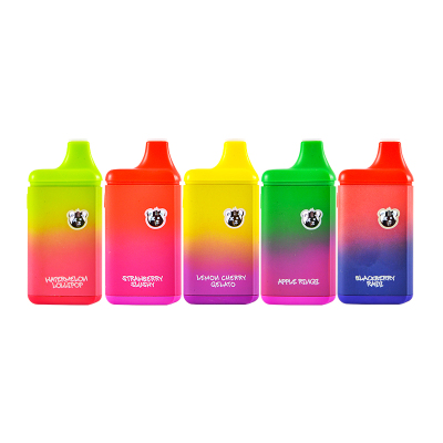 250pcs USA Stock Buddah Bear Disposable Vape 2g 02