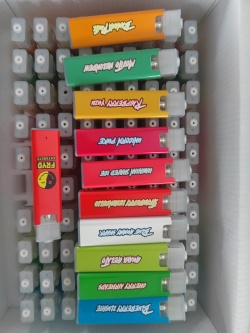 Fryd 1g Empty Disposable Vape review Chad Redwood 02