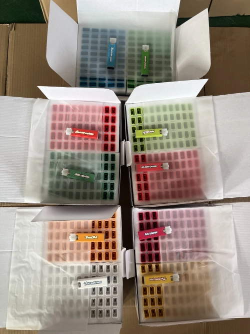 500pcs Germany Stock Fryd Empty Disposable Vape 1g Ship to EU Countries review Juilis