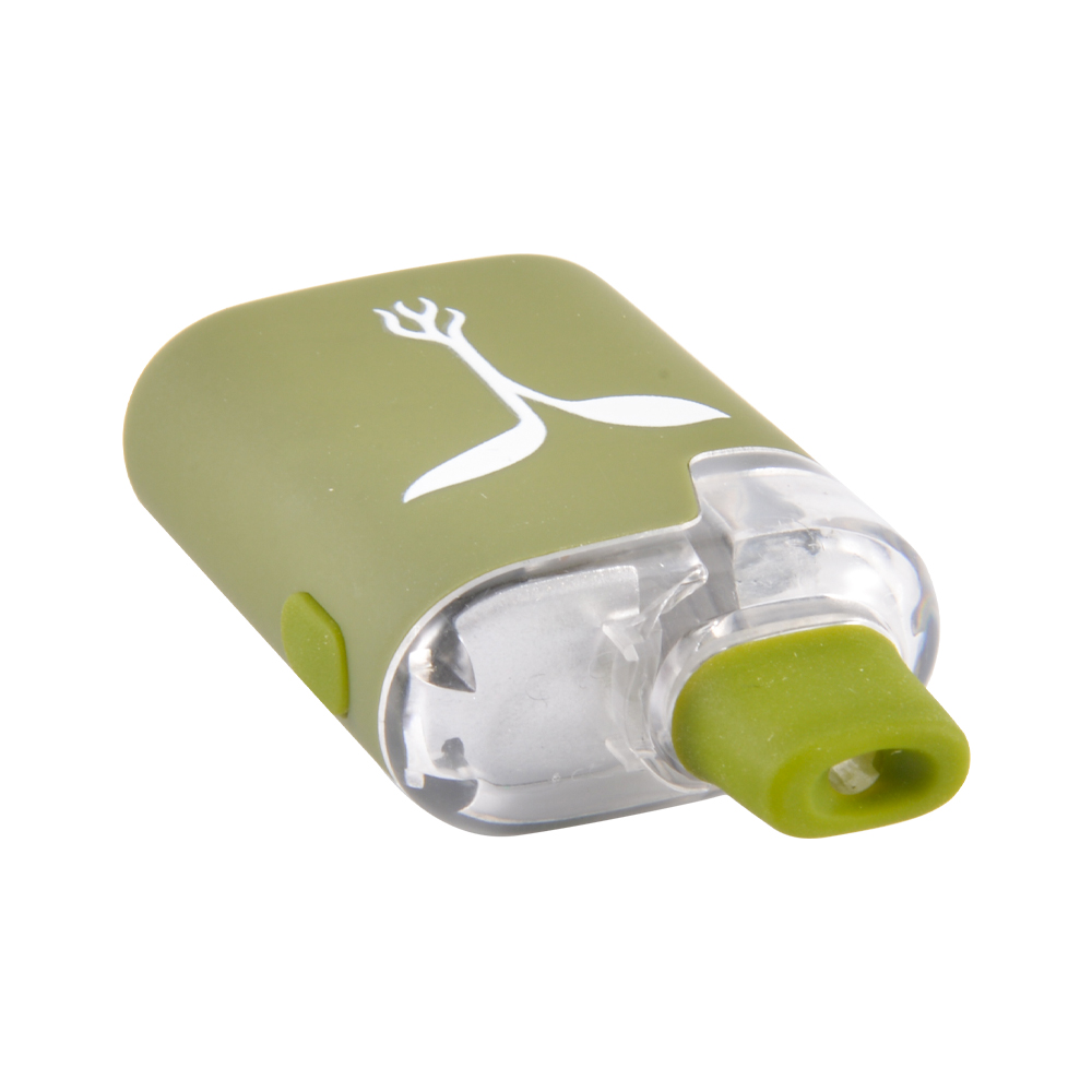 Raw Garden All in One Disposable Vape 2 Gram