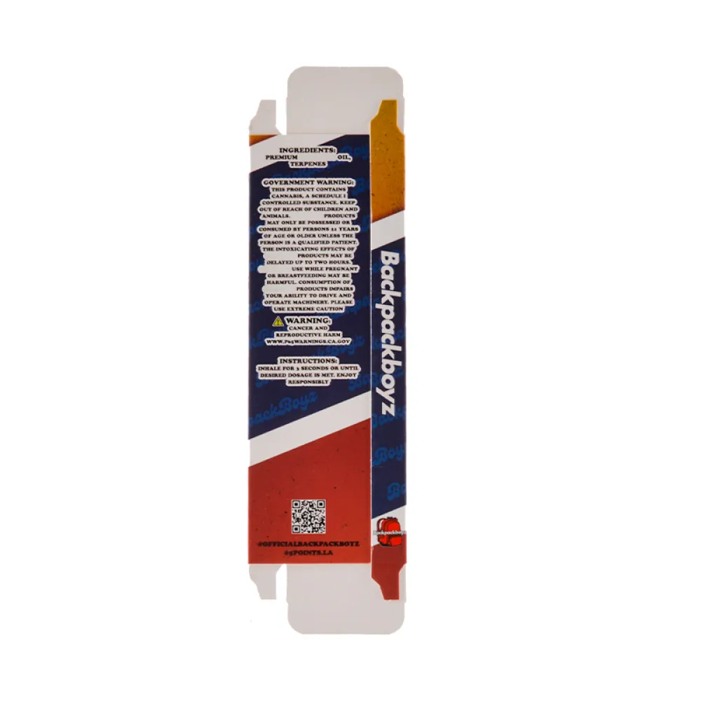 New Backpackboyz disposable 1g 2g  10 Flavors 