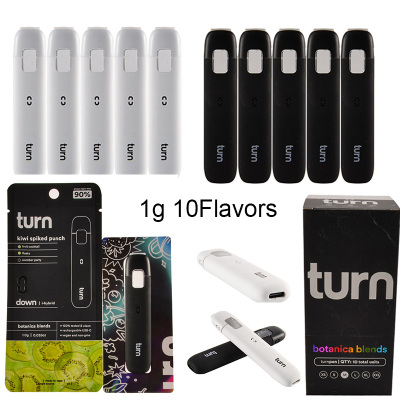Germany Turn Up Turn Down Disposable 1g 10 Flavors 01