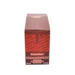 Germany warehouse New Backpackboyz disposable 1g 2g 10 Flavors