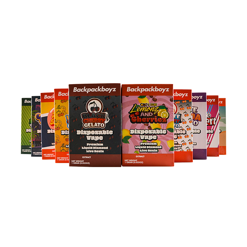 Germany warehouse New Backpackboyz disposable 1g 2g 10 Flavors