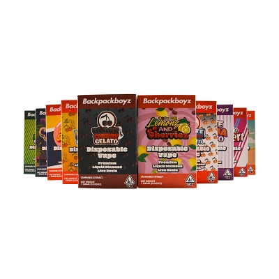 USA stock New Backpackboyz disposable 1g 2g 10 Flavors 02