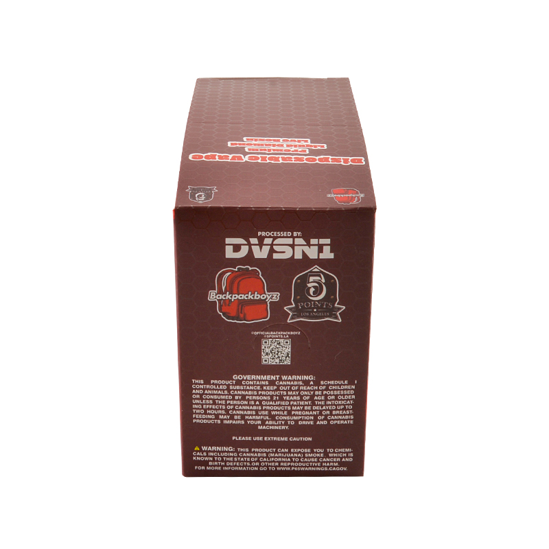 USA stock New Backpackboyz disposable 1g 2g 10 Flavors