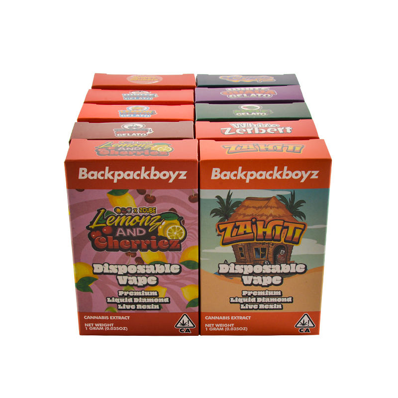 USA stock New Backpackboyz disposable 1g 2g 10 Flavors