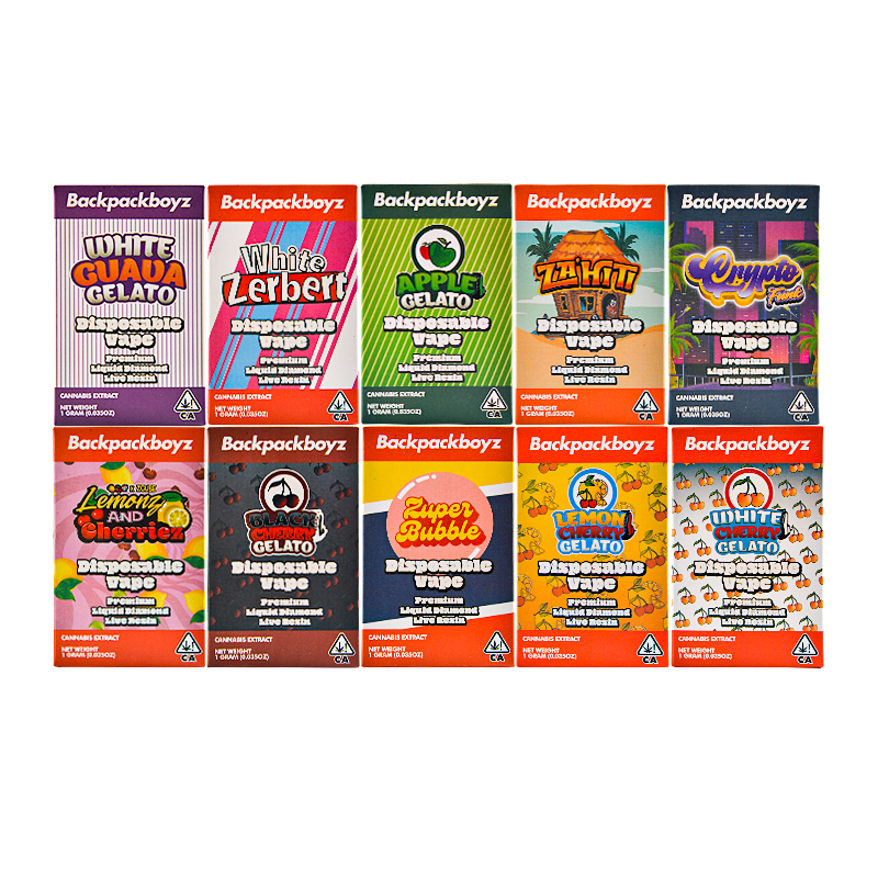 USA stock New Backpackboyz disposable 1g 2g 10 Flavors
