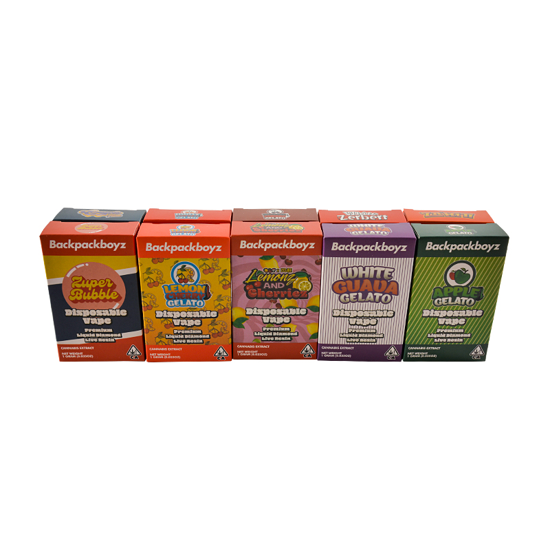 USA stock New Backpackboyz disposable 1g 2g 10 Flavors