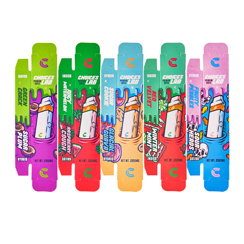 CHOICESLAB 2g dual disposable 20 flavors