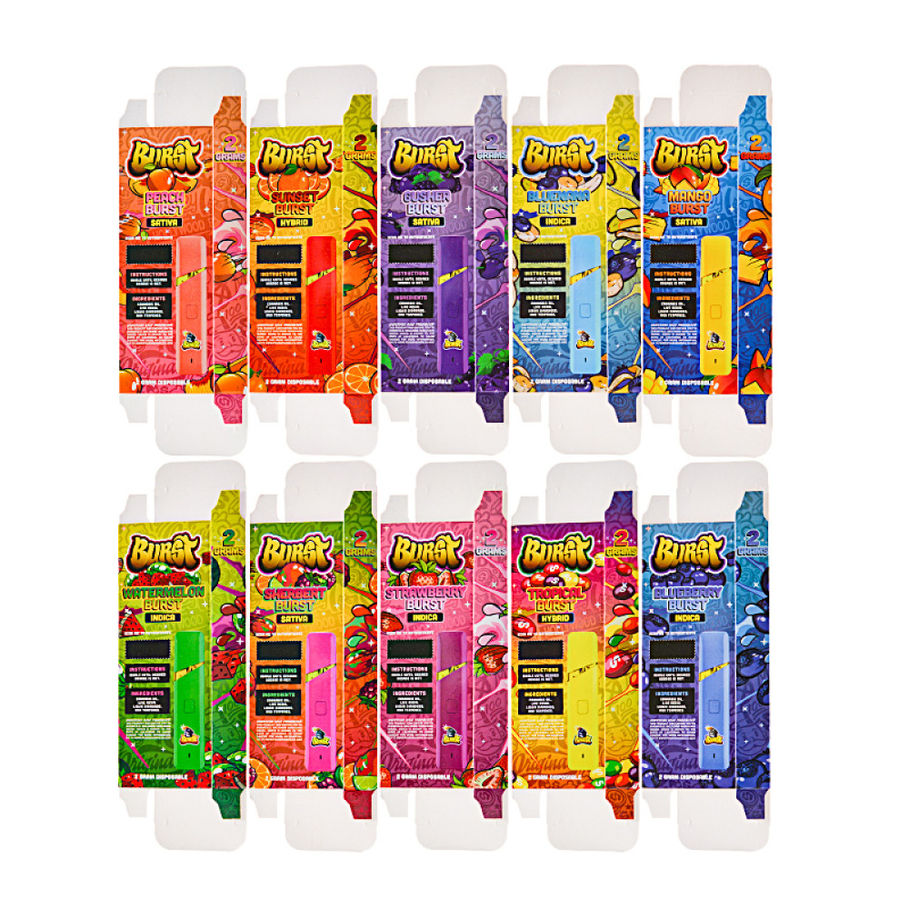 USA Burst Disposables 2g 10 Flavors