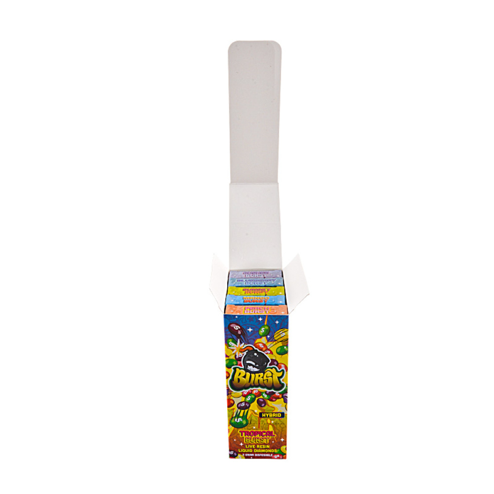 USA Burst Disposables 2g 10 Flavors