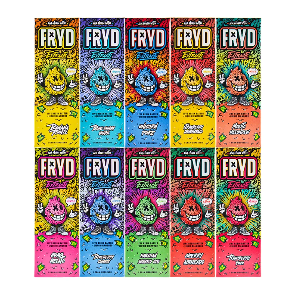 Germany stock Fryd 1G disposable 1ml empty vapes wholesale 10 Flavors