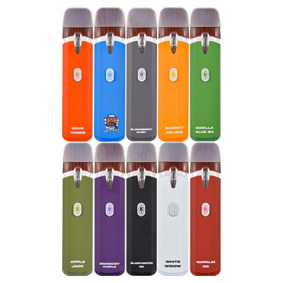 Big chief 1g disposable vape pen 1ml empty vapes 10 flavors  02