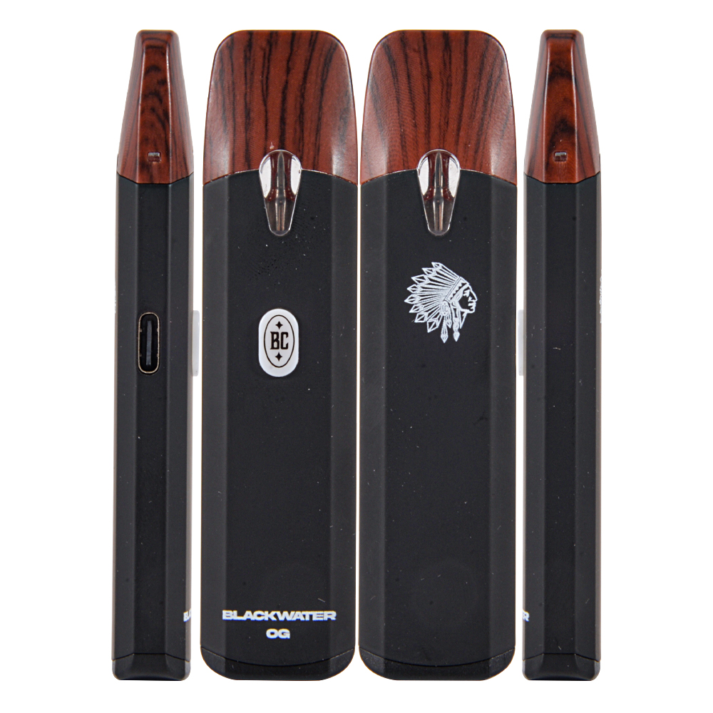 Big chief 1g disposable vape pen 1ml empty vapes 10 flavors 