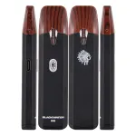 Big chief 1g disposable vape pen 1ml empty vapes 10 flavors 