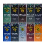 USA Big chief 1g disposable vape pen 1ML empty vapes in bulk