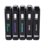 Besos 2g disposable vape cart empty vapes 10 flavors