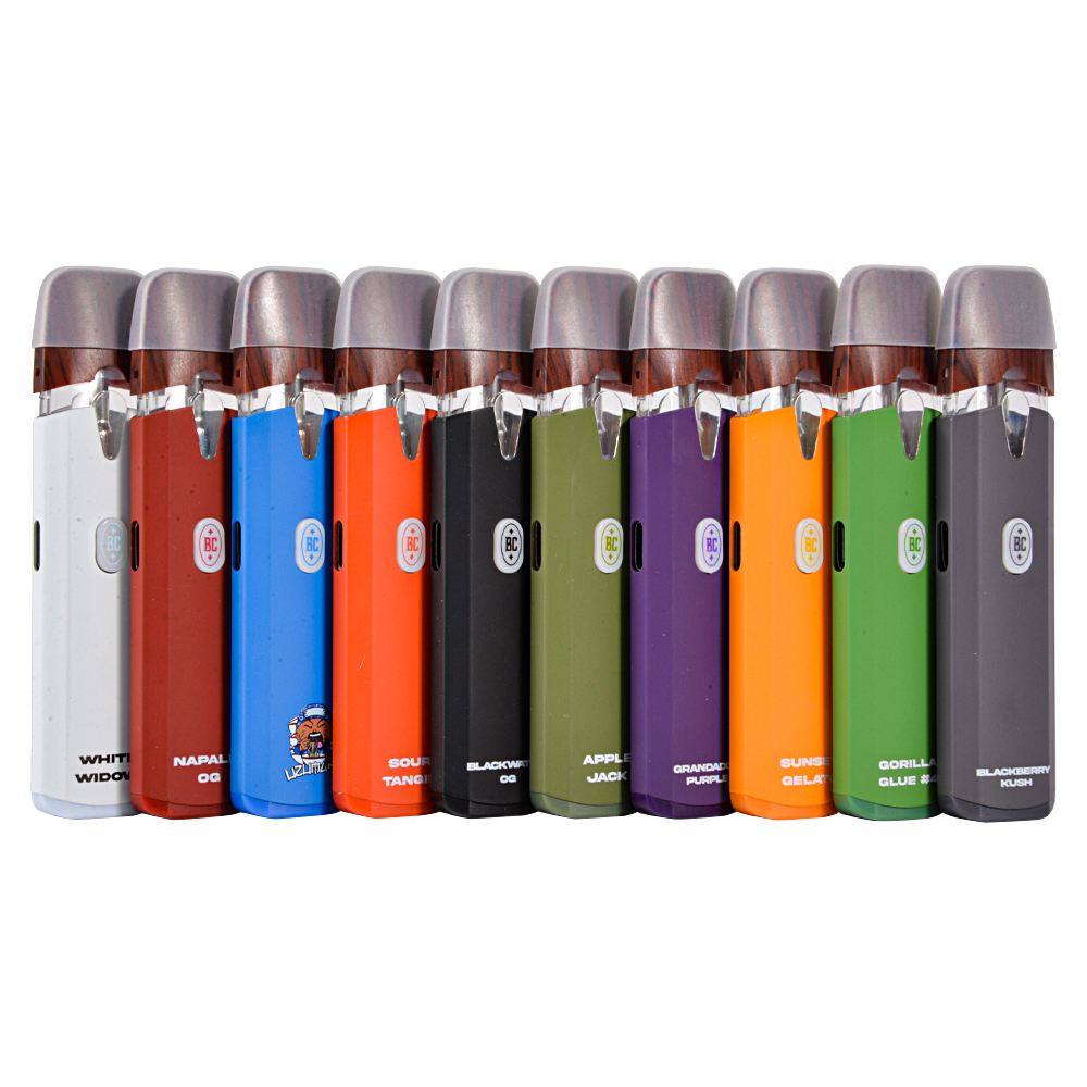 Germany stock Big Chief 1ml disposable empty vapes wholesale 10 flavors