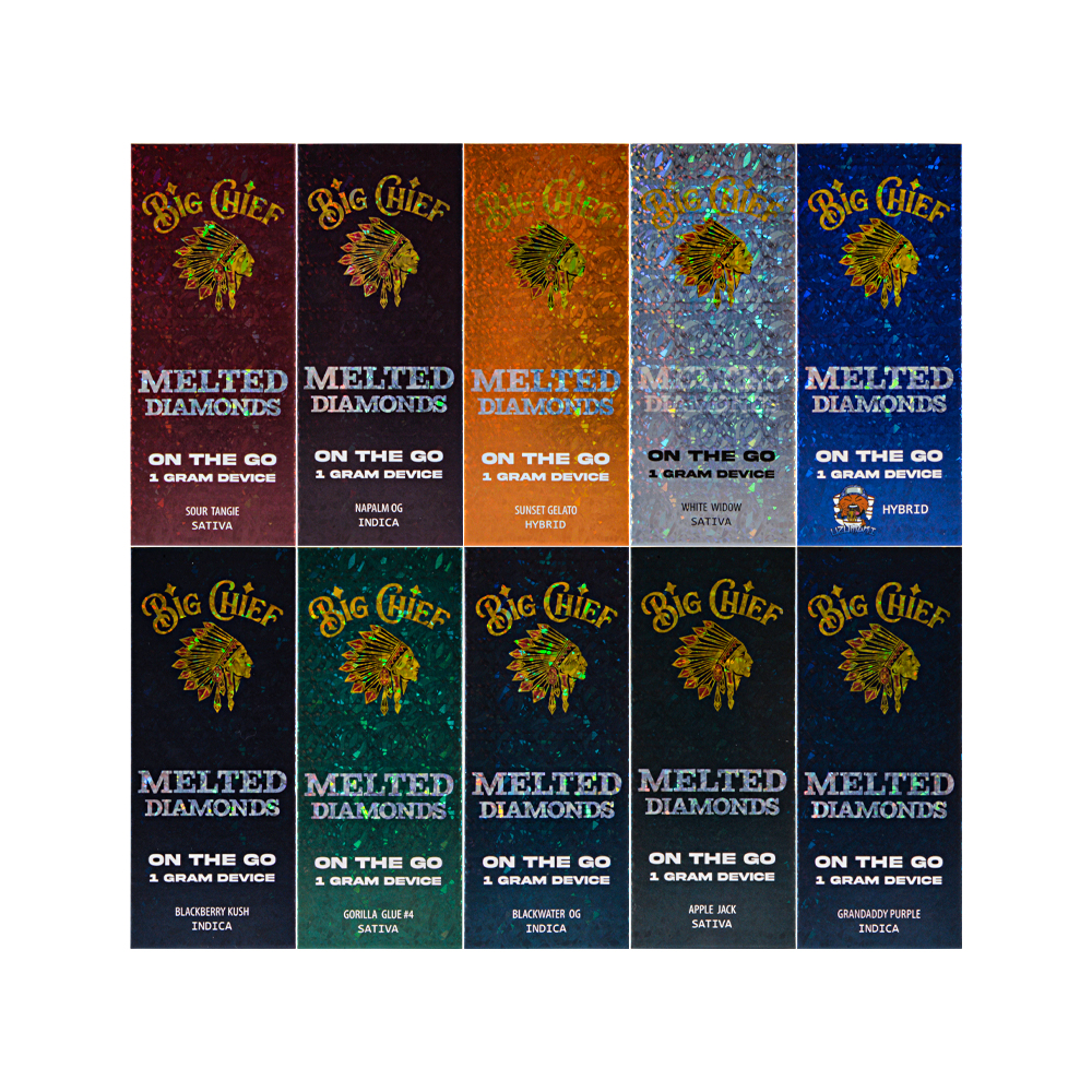 Germany stock Big Chief 1ml disposable empty vapes wholesale 10 flavors