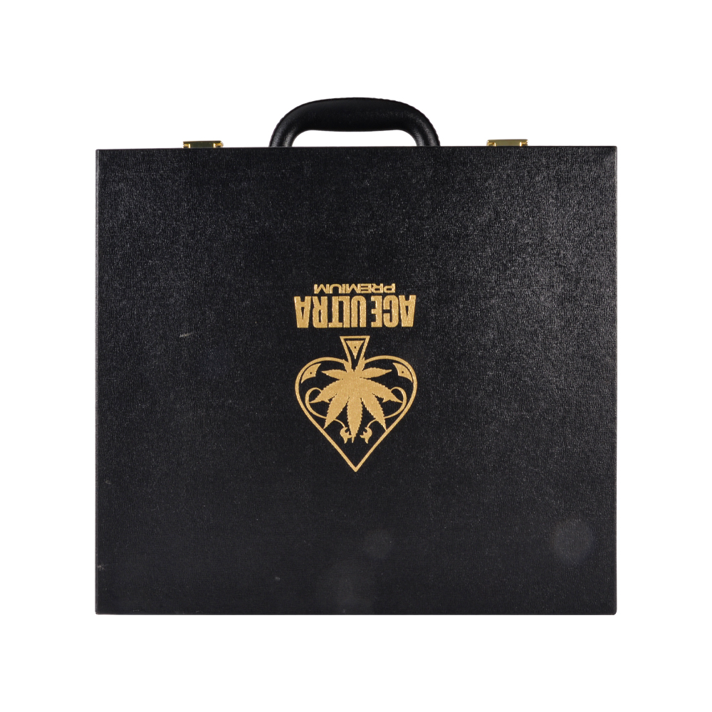 USA Black Ace ultra premium 2g disposable empty vapes wholesale 10 flavors