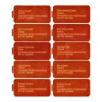 Italy vape black ace 1g disposables 10 flavors wholesale