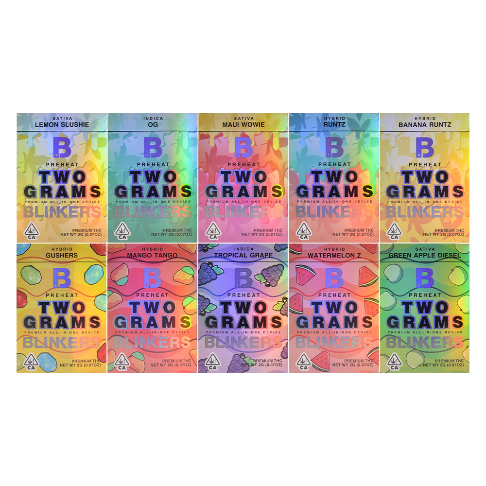 Blinkers 2g disposables 2ml empty vapes wholesale 10 flavors 