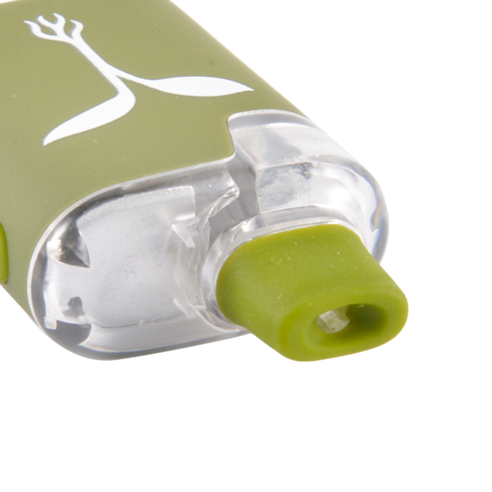 Raw garden disposables 2g empty vapes wholesale 10 flavors